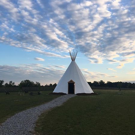 Dreamcatcher Glamping Tipi Hotel Farmville Eksteriør billede