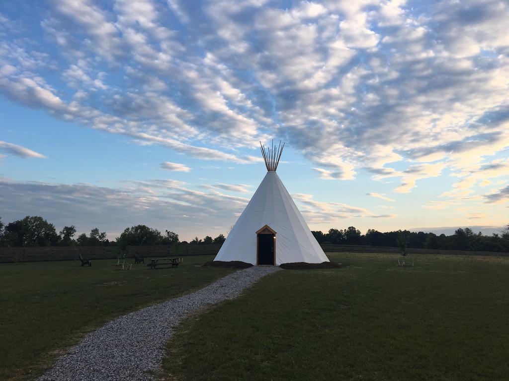 Dreamcatcher Glamping Tipi Hotel Farmville Eksteriør billede